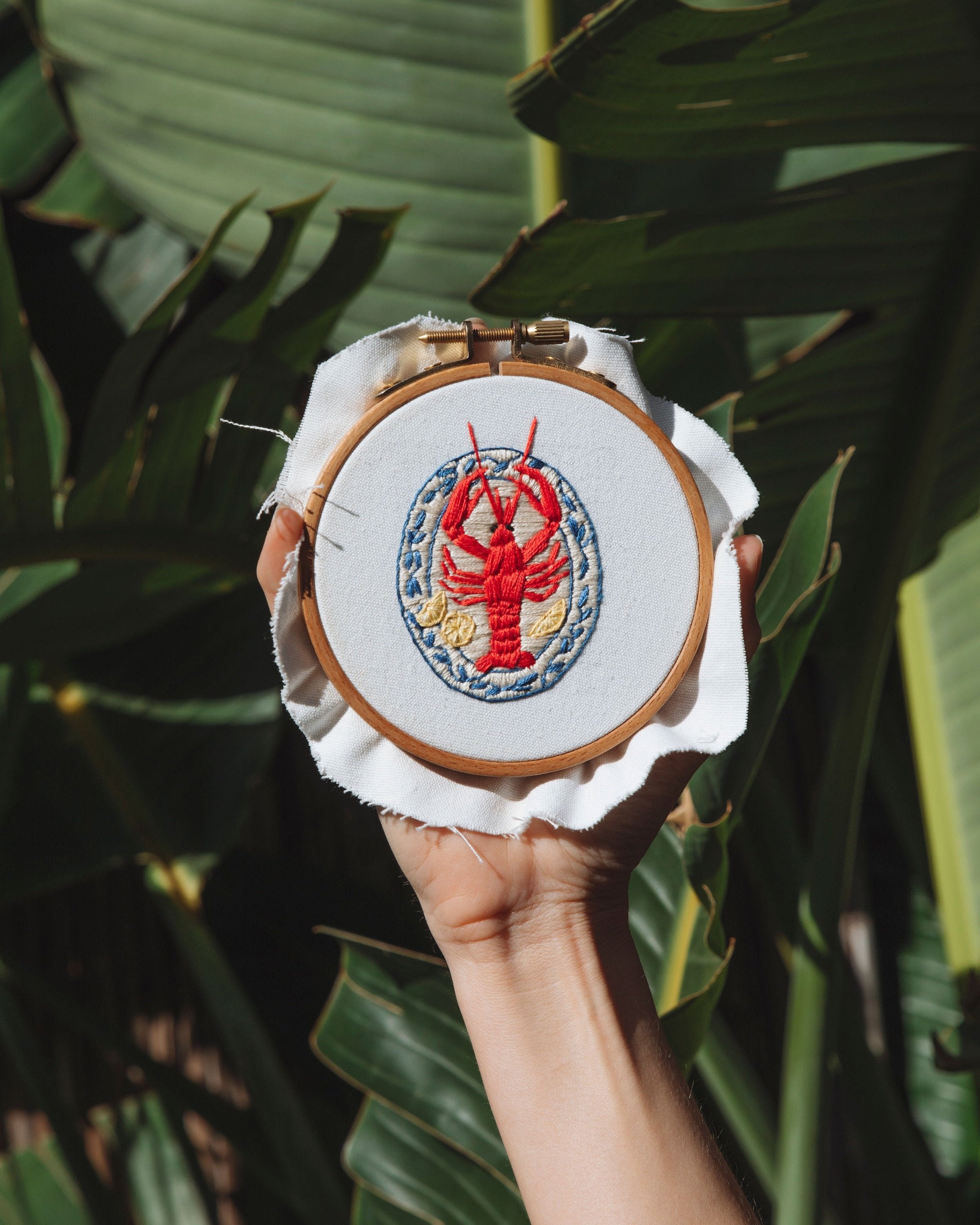 Mini Lobster embroidery hoop featuring red crustacean design on white fabric with blue decorative border against tropical leaves